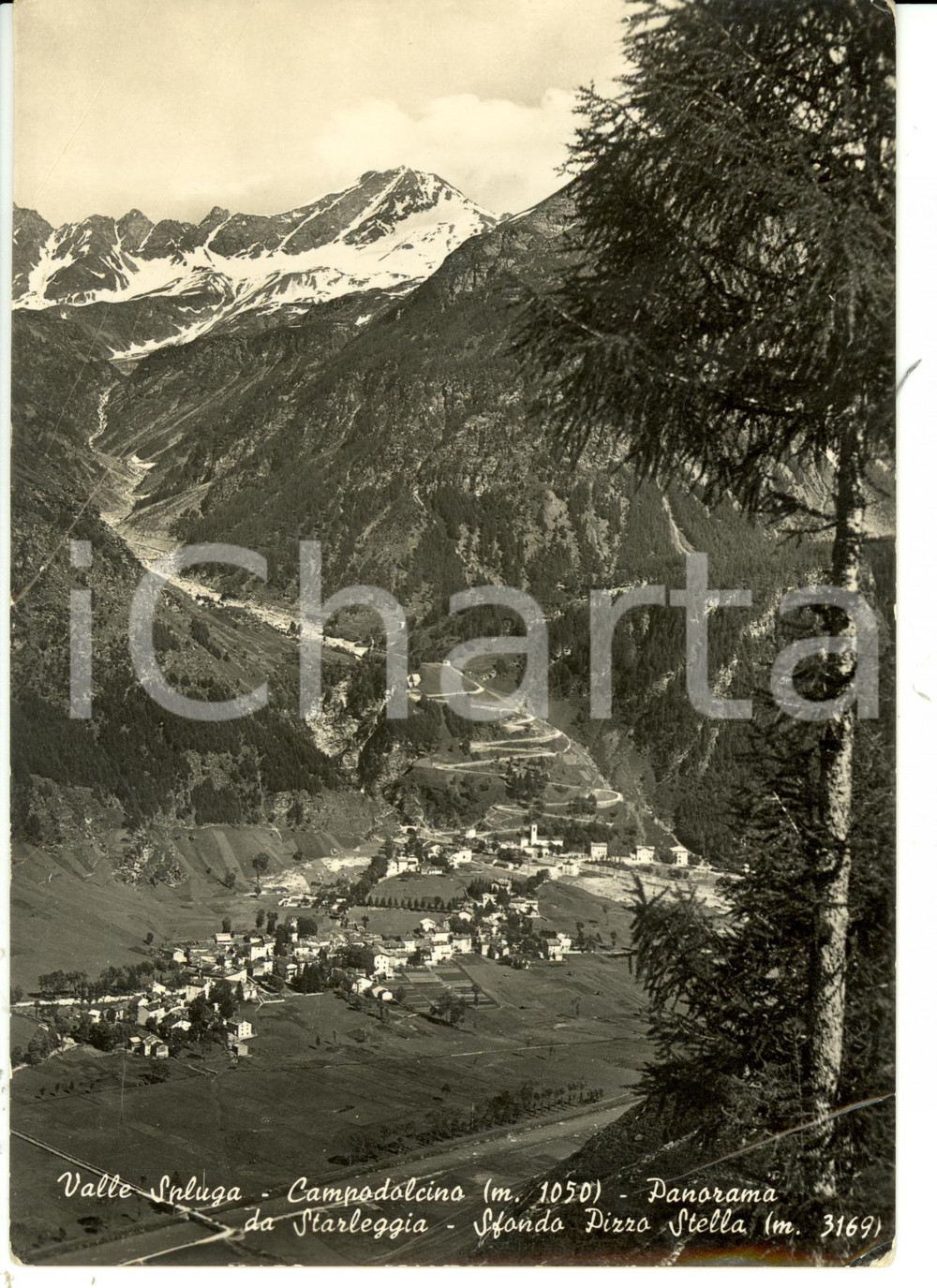 Cartolina originale da collezione 1952 CAMPODOLCINO SO Panorama da STARLEGGIA con PIZZO STELLA DANNEGGIATA 1