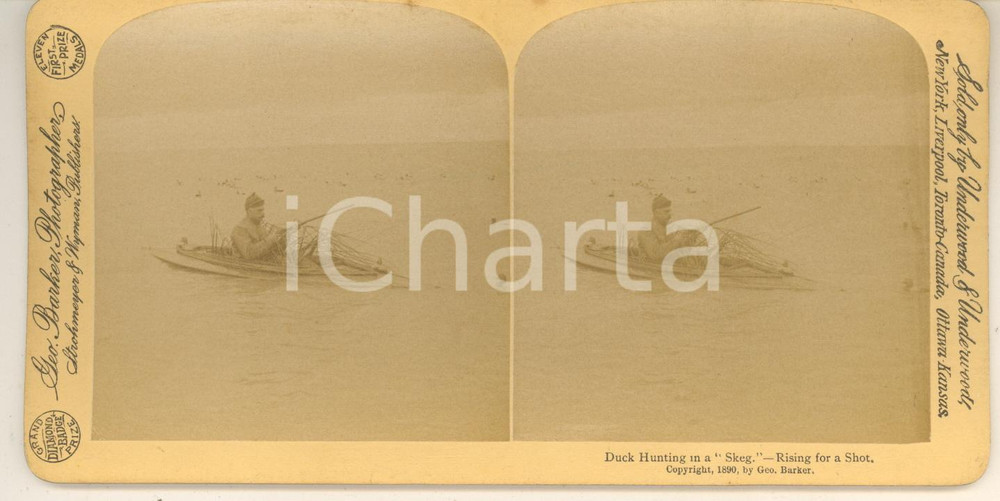 Fotografia d epoca originale 1890 Duck Hunter in a Skeg  Rising for a shot  RARE George BARKER Stereoview 1