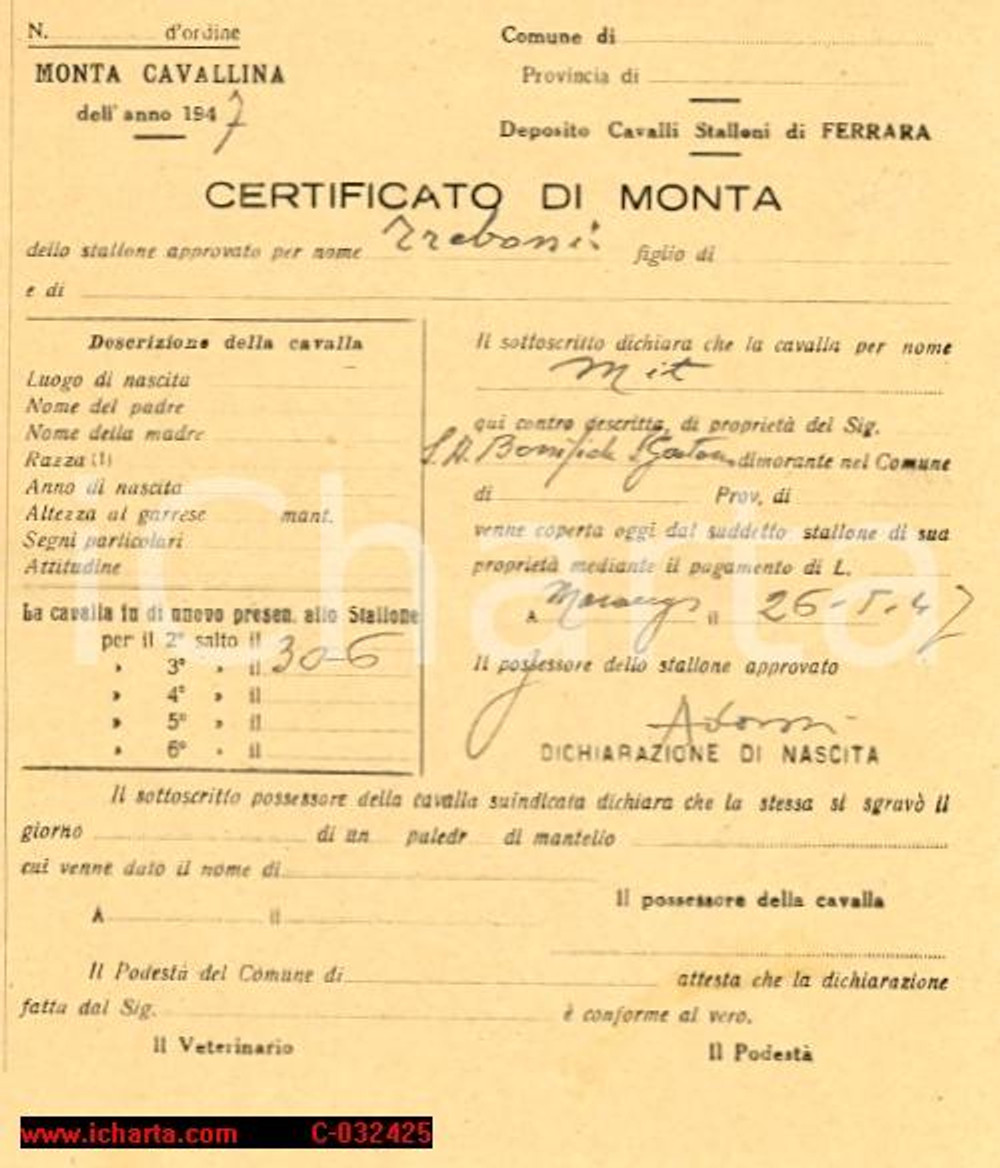 Oggetto da collezione cartaceo 1947 CERTIFICATO DI MONTA DI CAVALLA Ferrara 1