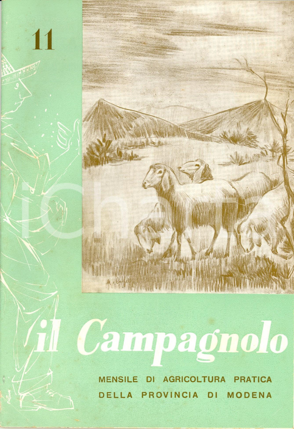 Giornale, rivista storica 1960 MODENA IL CAMPAGNOLO Concimazione potassica nell agricoltura modenese N°11 1