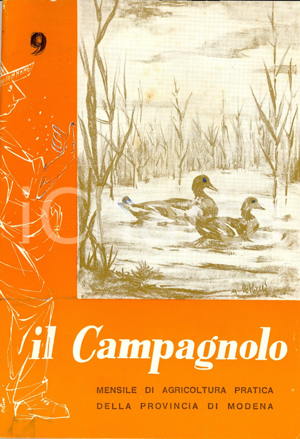 Giornale, rivista storica 1960 MODENA IL CAMPAGNOLO L'irrigazione dei terreni argillosi *Rivista NÂ°9 1