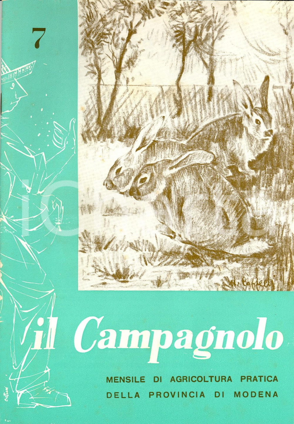 Giornale, rivista storica 1960 MODENA IL CAMPAGNOLO Problemi tecnici della mungitura meccanica Rivista NÂ°7 1