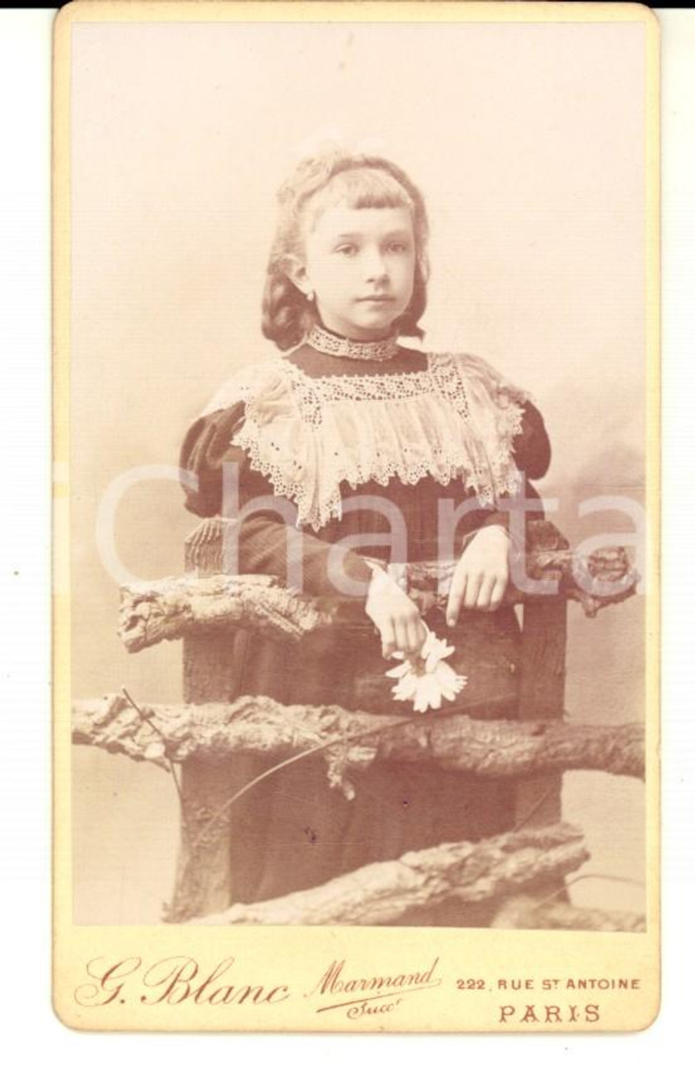 Fotografia d'epoca originale 1890 ca PARIS Ritratto di bambina con una margherita *Foto G. BLANC CDV 1