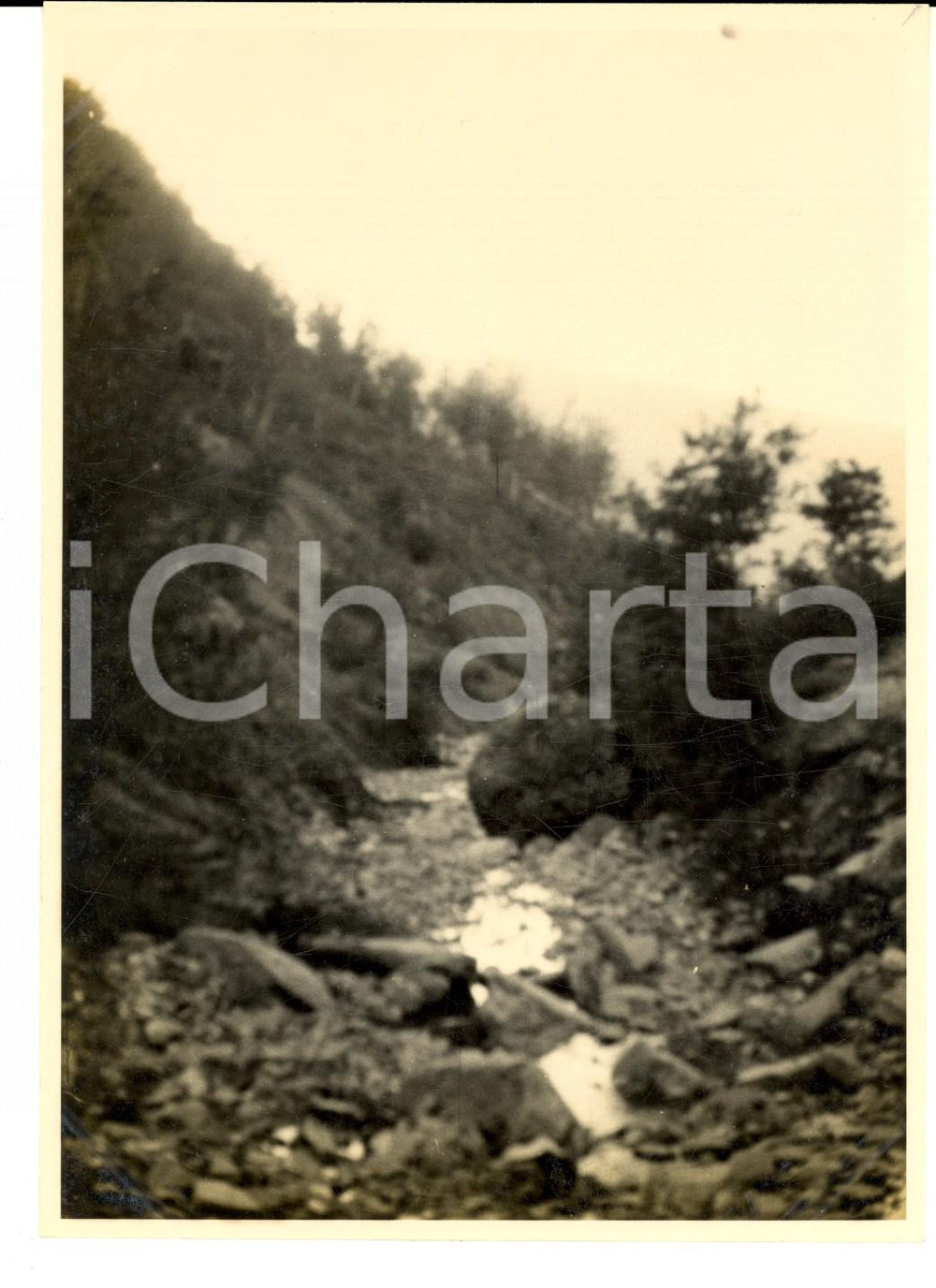 Fotografia d'epoca originale 1925 STRADA DEL BRALLO Veduta lungo il FOSSO DEI COGNASSI *Fotografia artistica 1