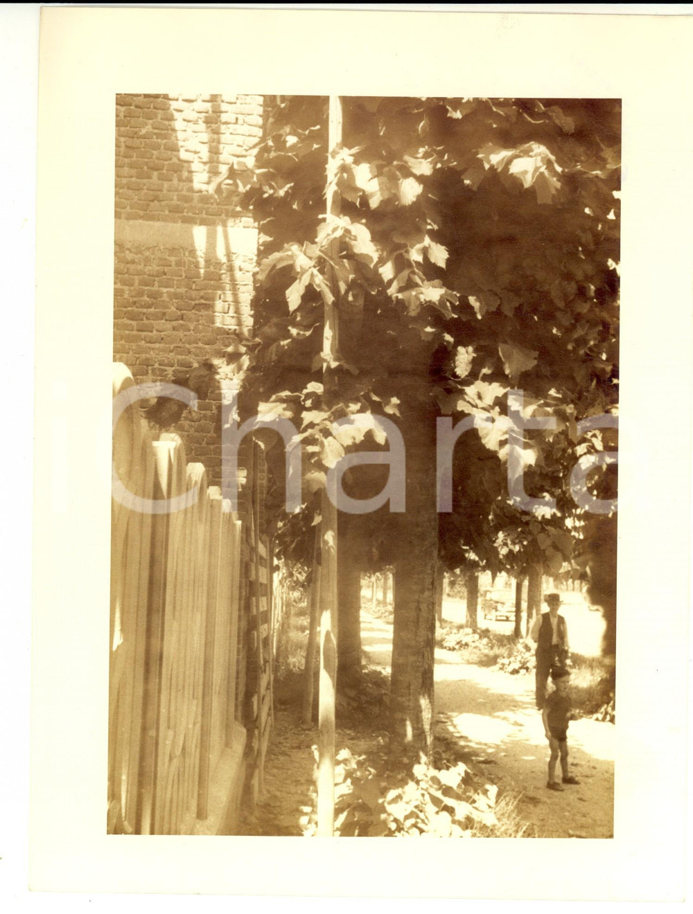 Fotografia d'epoca originale 1953 SANNAZZARO DE' BURGONDI Edificio G. TORRIANI in costruzione su viale LORETO 1