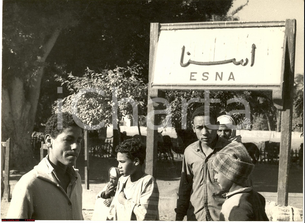 Fotografia d'epoca originale 1955 EGITTO Accesso ad ESNA Real photo 1