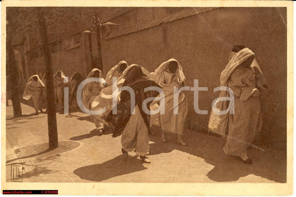 Cartolina originale da collezione 1913 TUNISI Promenade du Harem LT&L FP NV 1