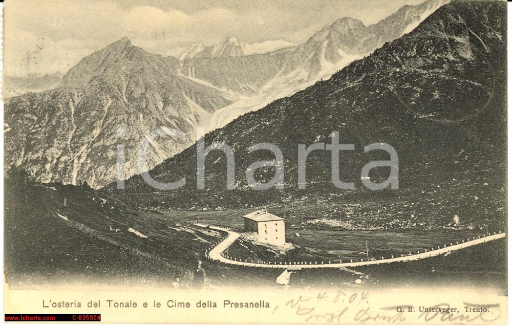 Cartolina originale da collezione 1904 Passo Tonale Osteria e cima della Presanella 1