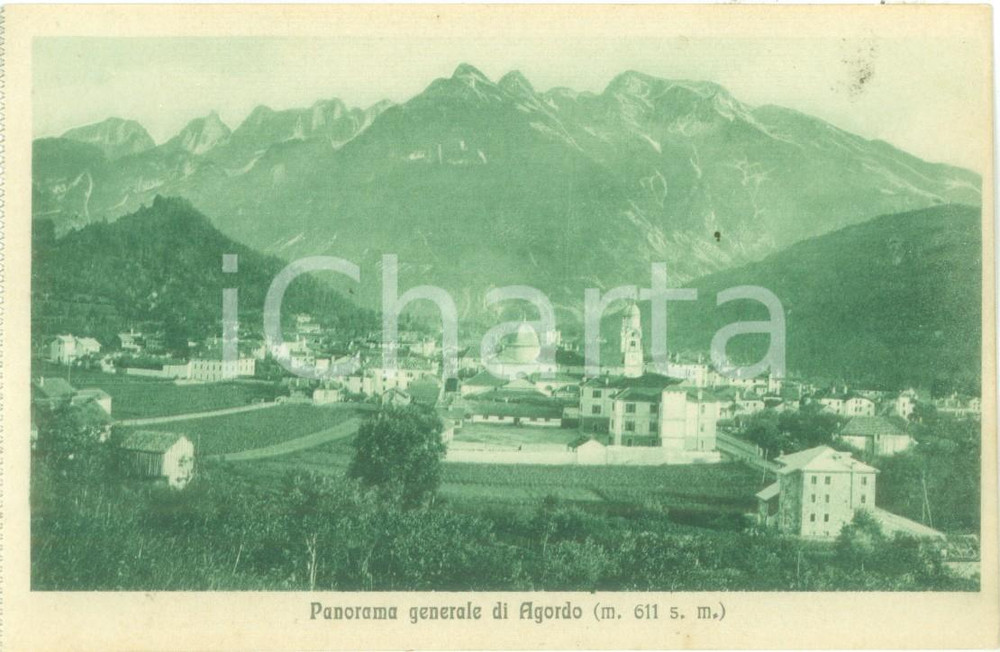 Cartolina originale da collezione 1935 ca AGORDO (BL) Panorama generale del paese Cartolina FP NV 1