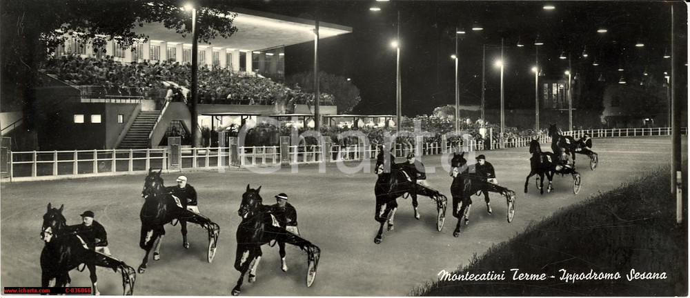 Cartolina originale da collezione 1955 ca MONTECATINI TERME PT Gara ippica trotto Ippodromo SESANA Cartolina FG 1