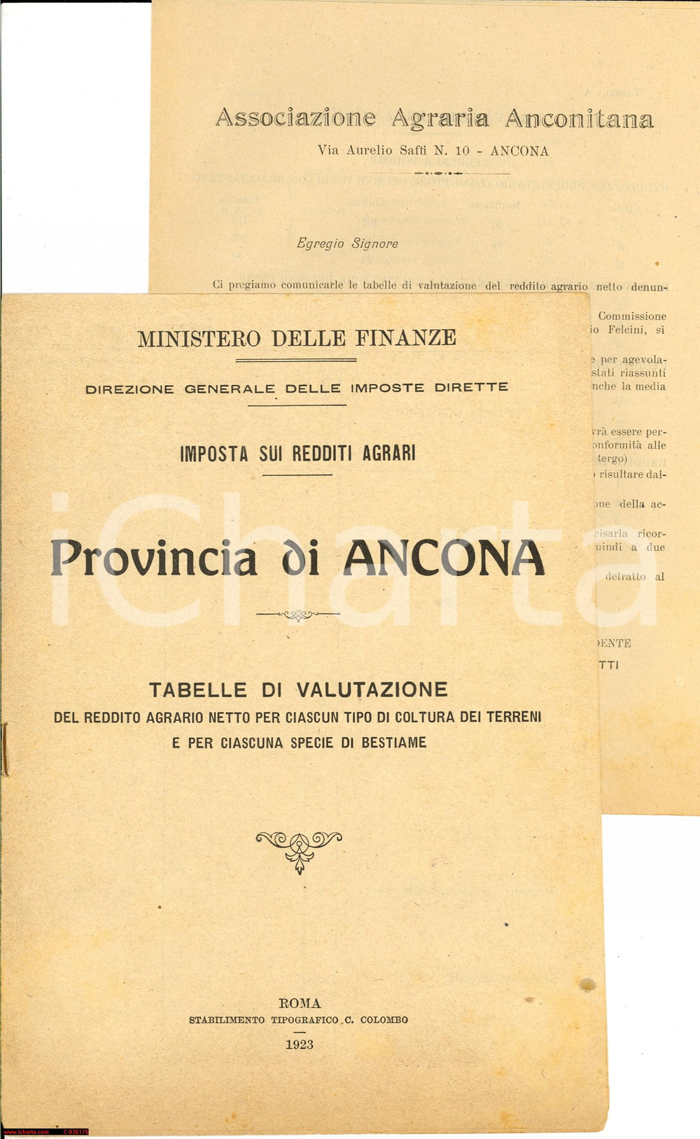 Documento originale, autentico 1923 Ancona Tabelle di Valutazione Reddito Agrario 1