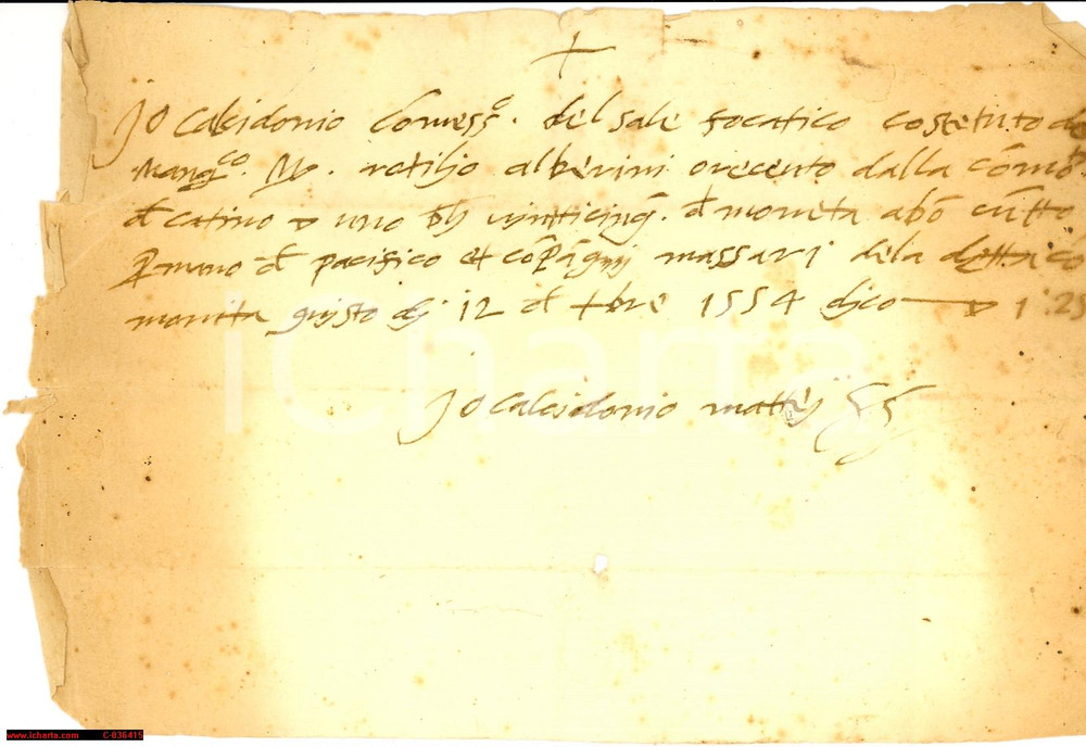 Documento originale, autentico 1554 POGGIO CATINO RI Matteo CALCIDONIO sali e focatico 1