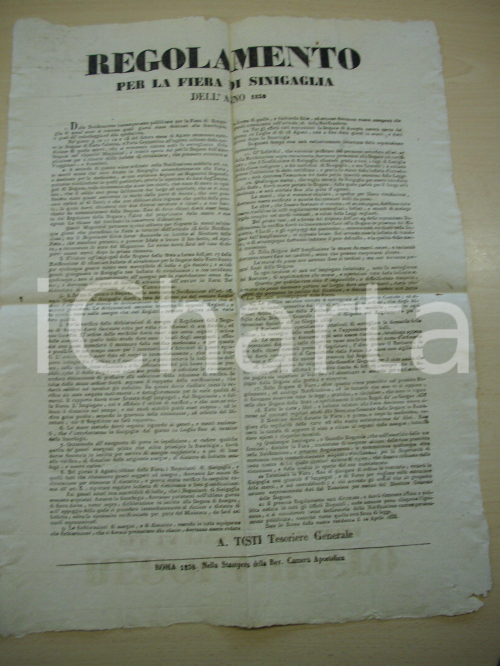 Documento originale, autentico 1838 Regolamento antica FIERA DI SENIGALLIA Manifesto 1