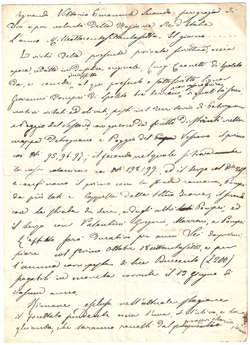 Documento originale, autentico 1877 PETROGNANO/ POGGIO DEL VESCOVO PG Giovanni POMPEI prende terre in affitto 1