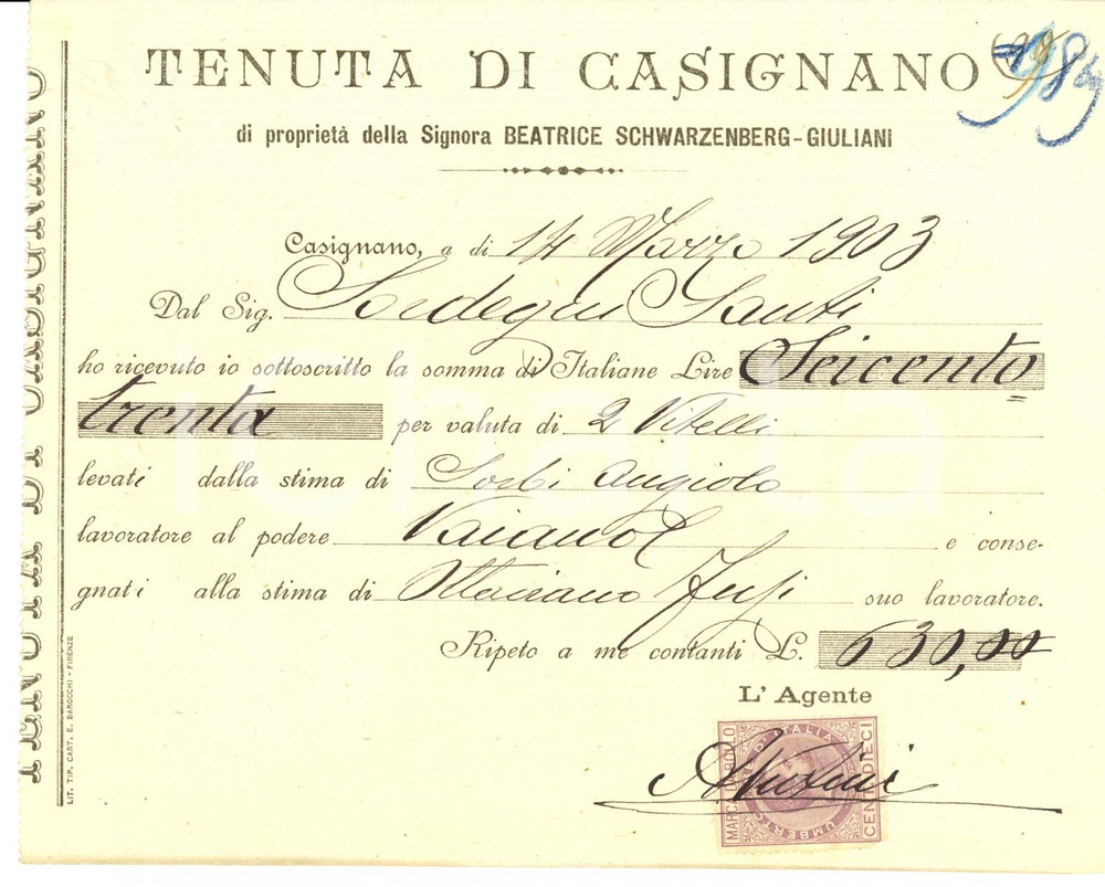 Documento originale, autentico 1903 CASIGNANO FI Villa Beatrice SCHWARZENBERG GIULIANI 1