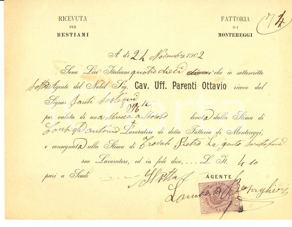 Documento originale, autentico 1902 MONTEREGGI FI Mucca del cav. Ottavio PARENTI Ricevuta vendita bestiame 1