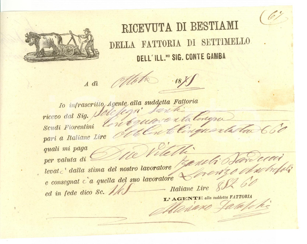 Documento originale, autentico 1878 SETTIMELLO FI Ricevuta  di bestiami fattoria del conte GAMBA 1