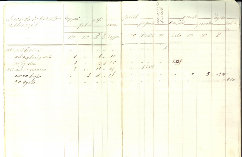 Documento originale, autentico 1881 SIENA Tenuta delle VOLTE SELVI Straccetto dei dazi dei mezzaioli 32 pp. 1