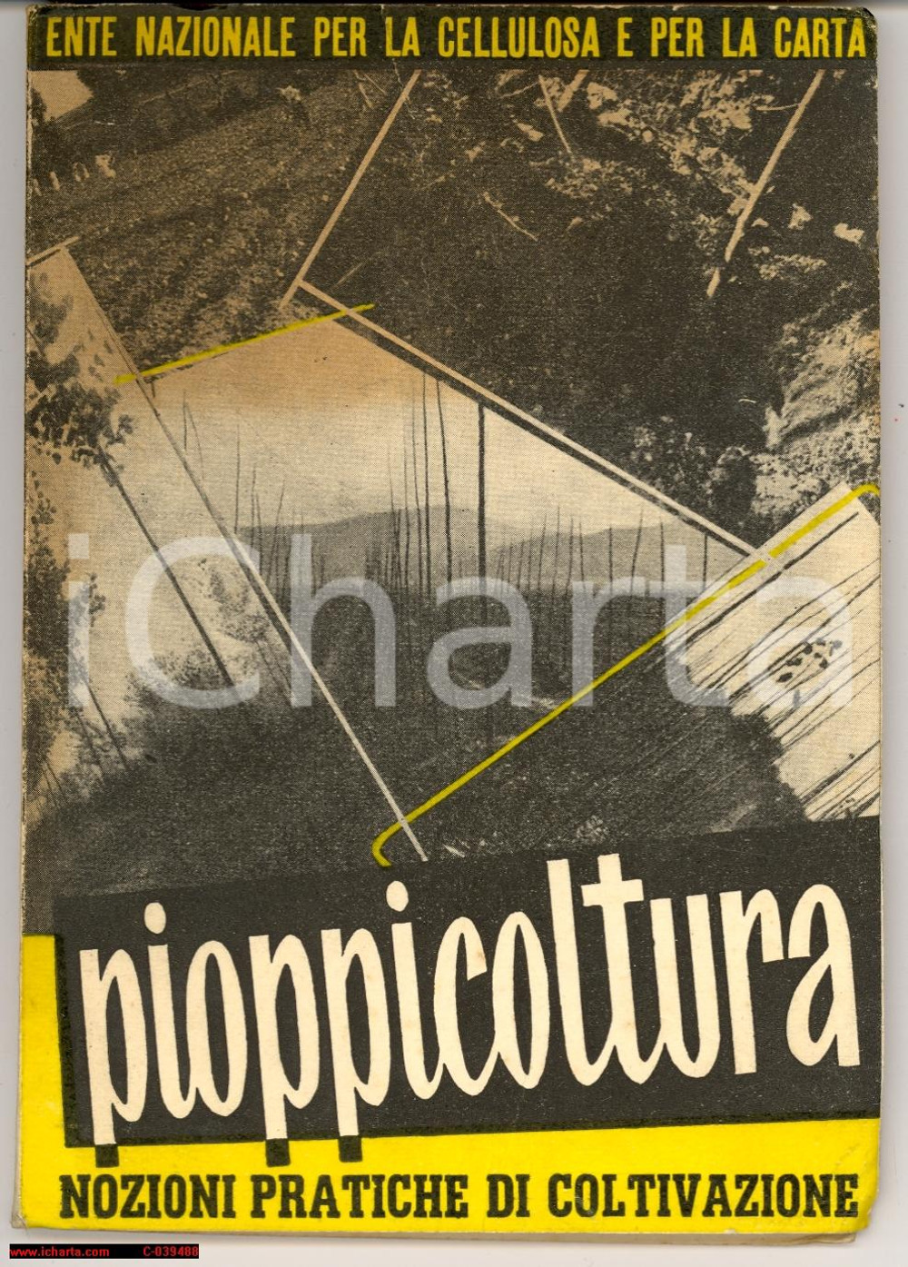 Libro, pubblicazione d'epoca 1953 Nozioni pratiche di PIOPPICOLTURA libretto ENCC 1