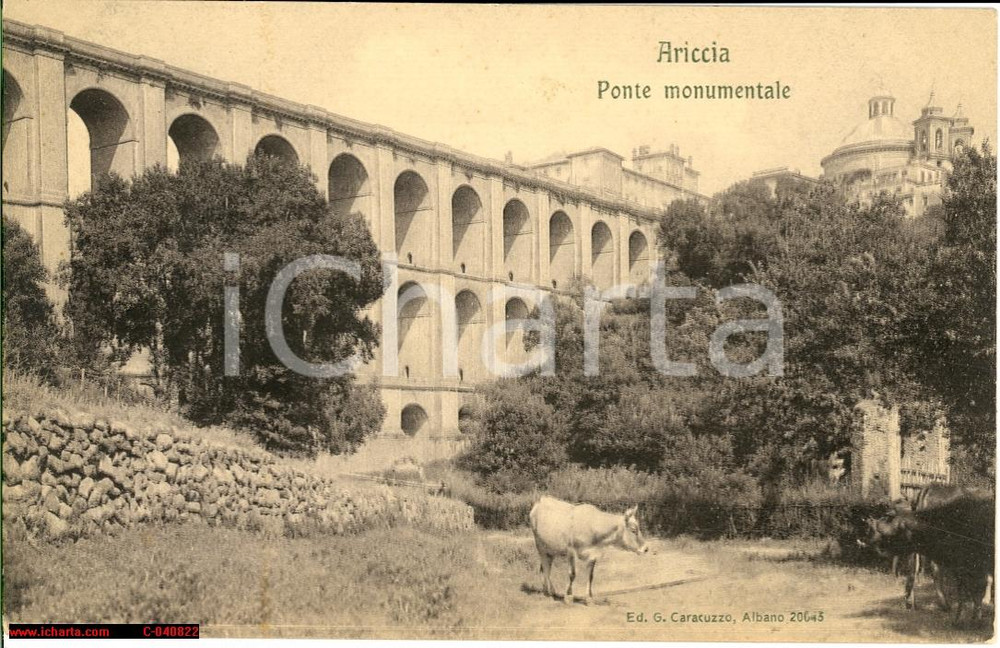 Cartolina originale da collezione 1925 Ariccia - Ponte Monumentale con vacche *FP NV 1