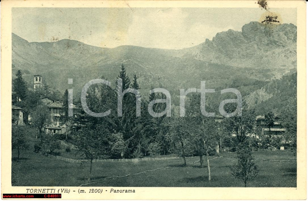 Cartolina originale da collezione 1934 Tornetti di ViÃ¹  Torino Panorama d epoca 1