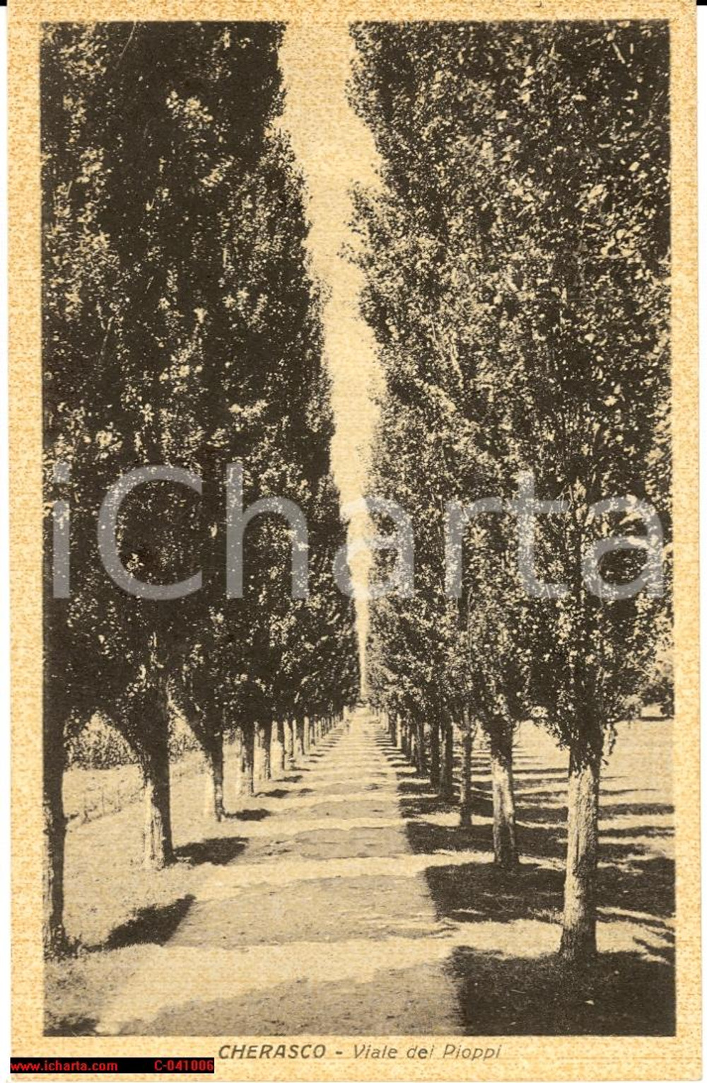 Cartolina originale da collezione 1943 CHERASCO (CN) Viale dei Pioppi FP VG 1