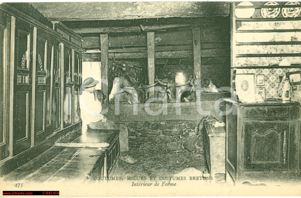 Cartolina originale da collezione 1910 BREST F Interno di fattoria bretone con stalla 1
