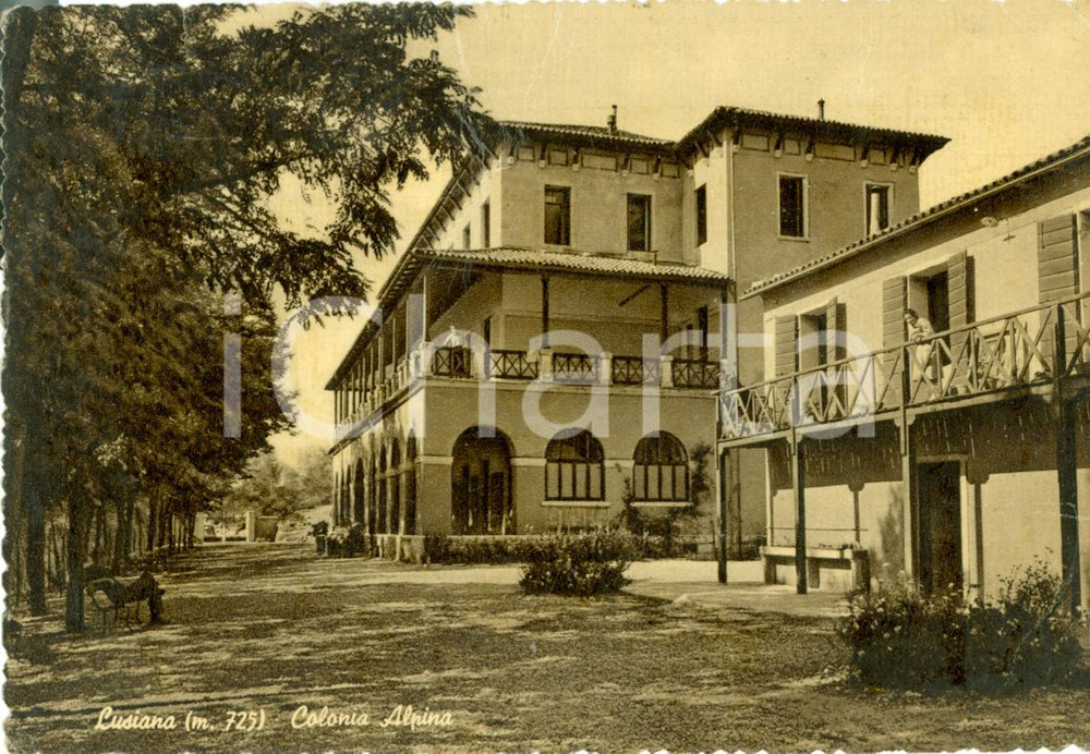 Cartolina originale da collezione 1957 LUSIANA VI Colonia Alpina Cartolina ANIMATA FG VG 1