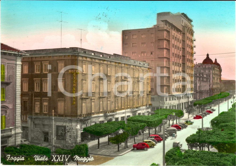 Cartolina originale da collezione 1960 FOGGIA Viale XXIV Maggio con Hotel CICOLELLA FG VG 1