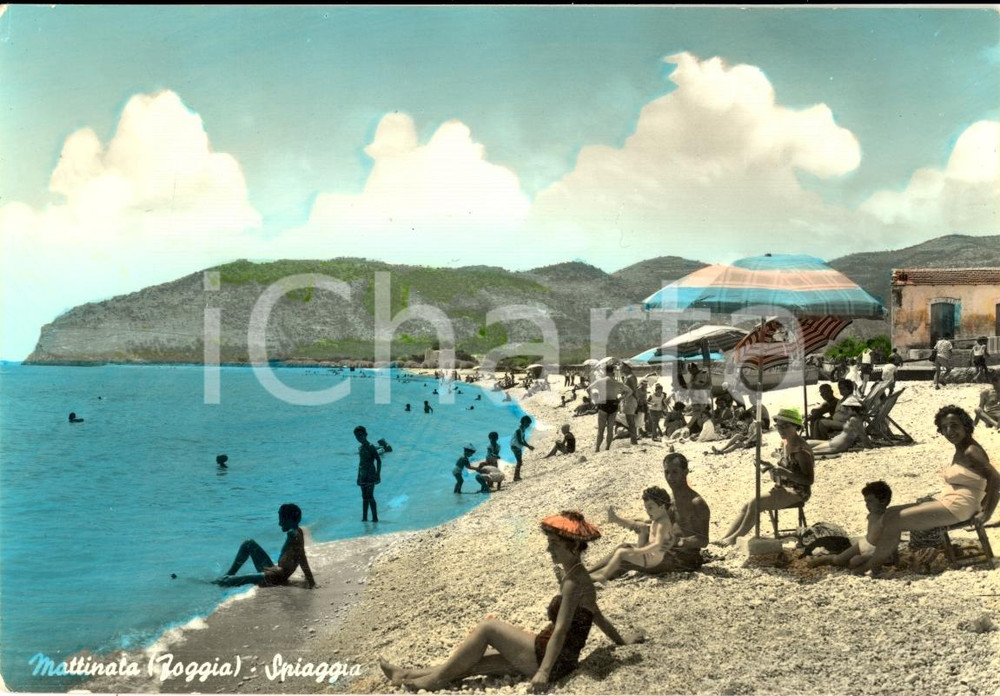 Cartolina originale da collezione 1965 ca MATTINATA FG Veduta della spiaggia ANIMATA FG 1