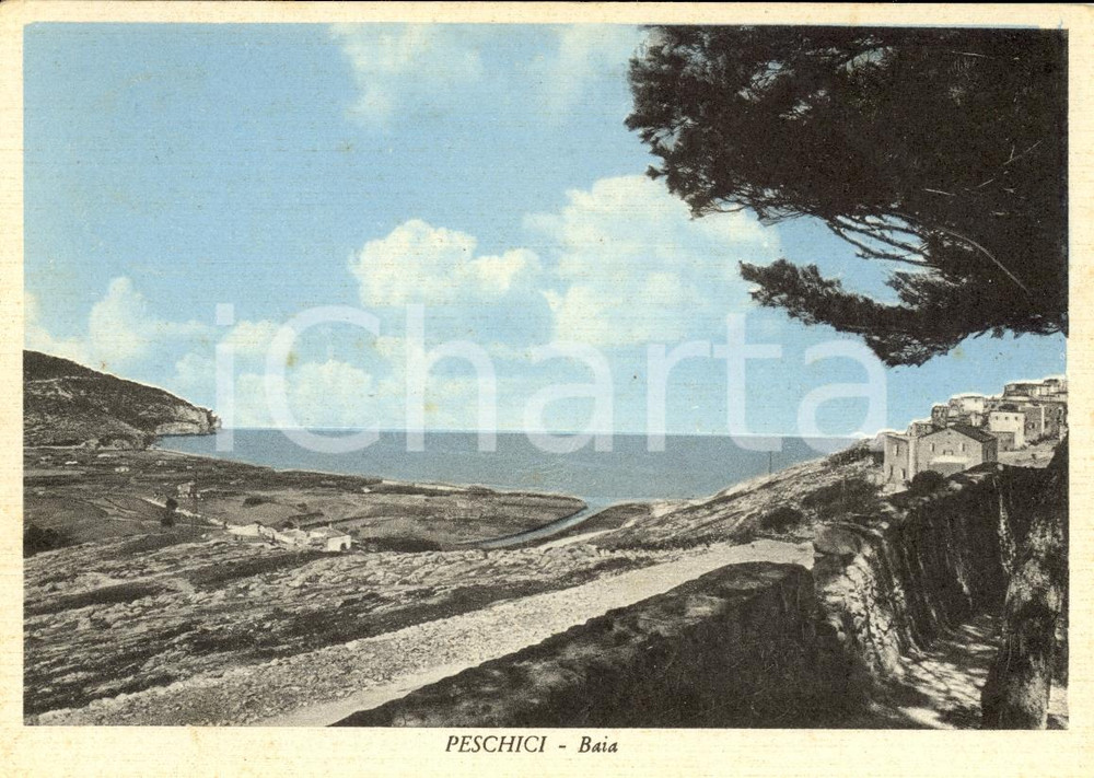 Cartolina originale da collezione 1953 PESCHICI FG Veduta della baia ILLUSTRATA FG VG 1