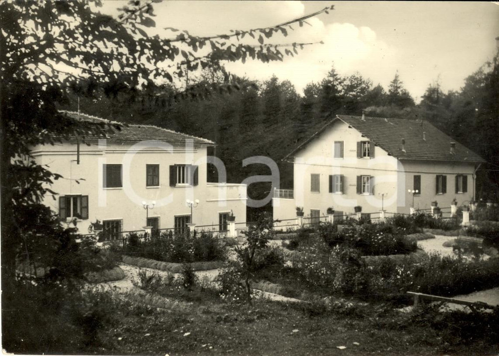 Cartolina originale da collezione 1950 ca MONTE SANT'ANGELO (FG) Ville a FORESTA UMBRA FG 1