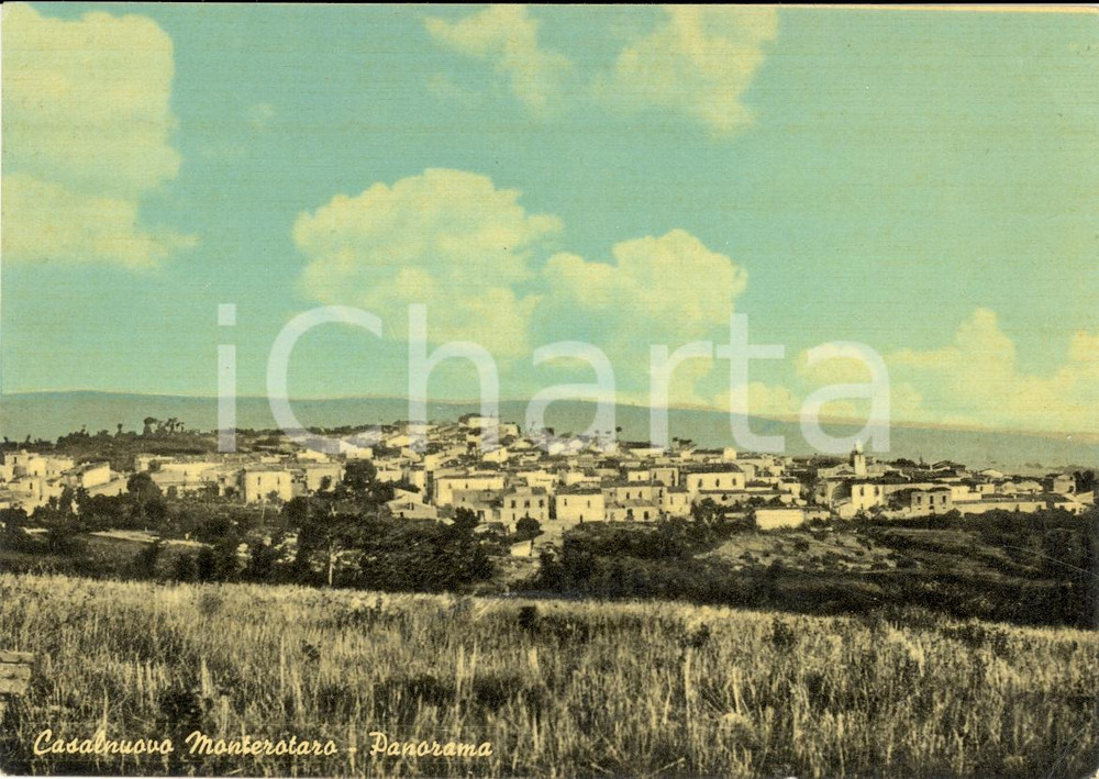 Cartolina originale da collezione 1959 CASALNOVO MONTEROTARO (FG) Panorama del paese FG 1