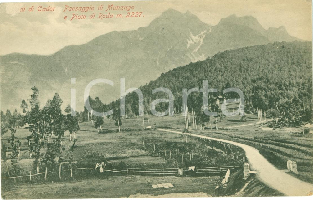 Cartolina originale da collezione 1910 ca TAI DI CADORE BL Paesaggio MANZAGO Picco RODA Cartolina FP NV 1