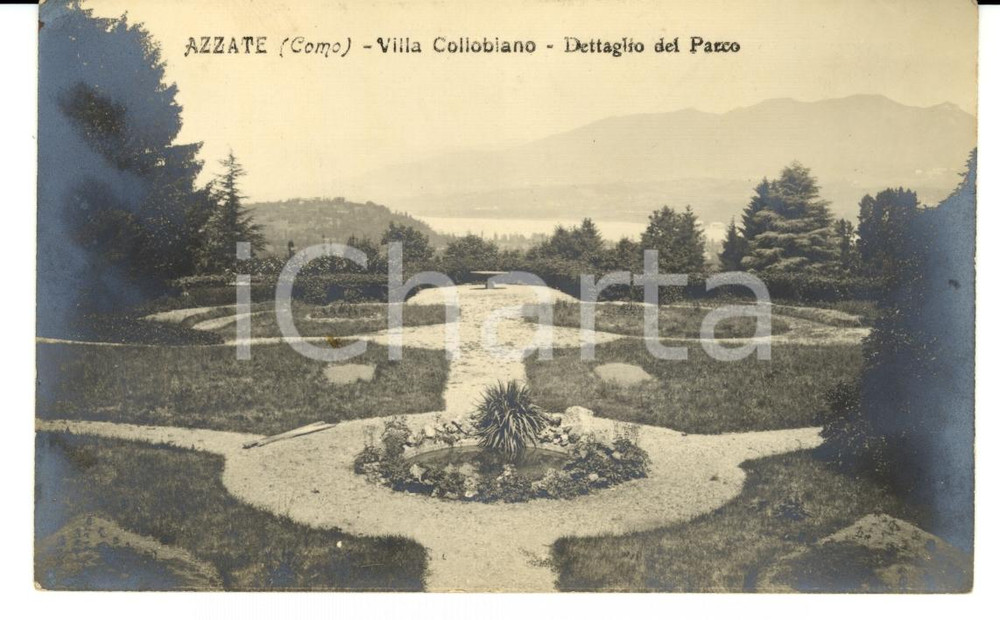 Cartolina originale da collezione 1923 AZZATE (CO) Villa COLLOBIANO Dettaglio del parco FP NV 1
