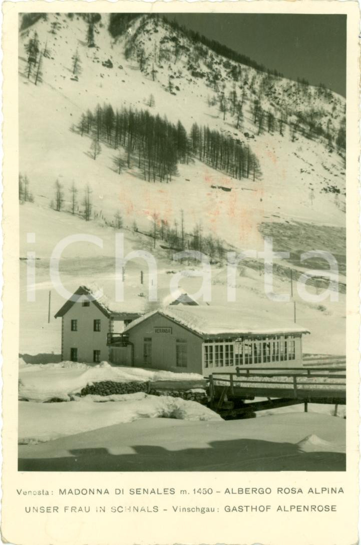 Cartolina originale da collezione 1952 MADONNA DI SENALES BZ L albergo ROSA ALPINA Cartolina FP VG 1