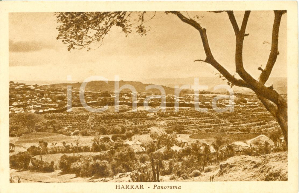Cartolina originale da collezione 1936 HARRAR (ETIOPIA) Panorama della cittÃ  *Cartolina FP NV 1