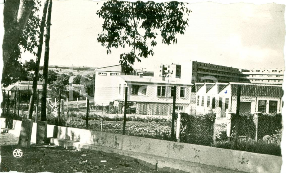 Cartolina originale da collezione 1959 BERROUAGHIA (ALGERIA) La scuola professionale *Cartolina FP VG 1