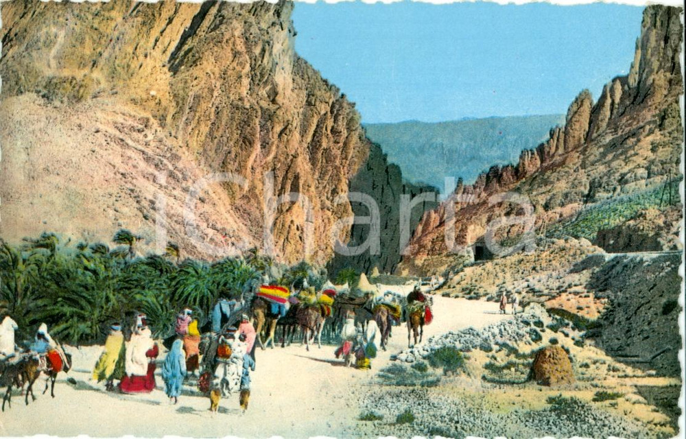 Cartolina originale da collezione 1960 ca EL KANTARA (ALGERIA) Carovana in processione nelle gole *Cartolina FP NV 1