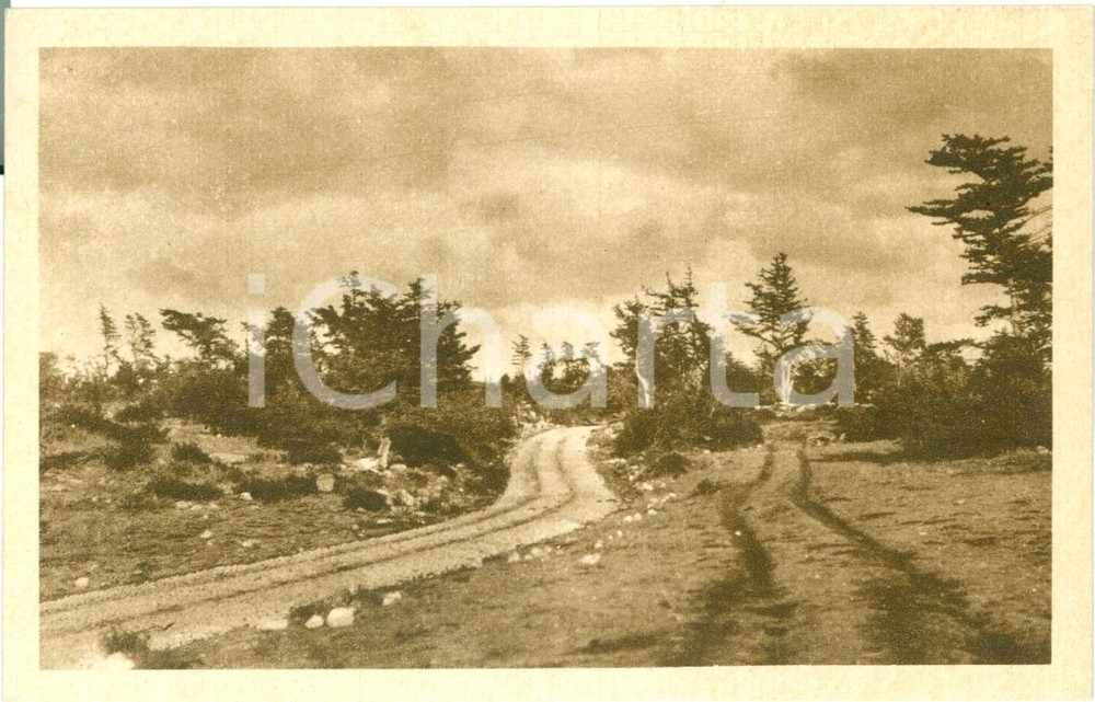 Cartolina originale da collezione 1935 ca DERNA LIBIA Piste GEBEL ELACHDAR Ente DOPOLAVORO Cartolina FP NV 1