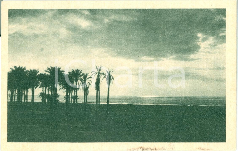Cartolina originale da collezione 1935 ca CIRENAICA Tramonti su palmeti alla spiaggia Ente DOPOLAVORO Cartolina FP 1