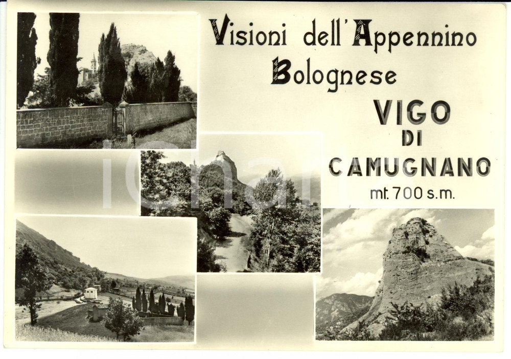 Cartolina originale da collezione 1964 VIGO DI CAMUGNANO (BO) Vedutine dell'Appennino Bolognese *Postcard FG NV 1
