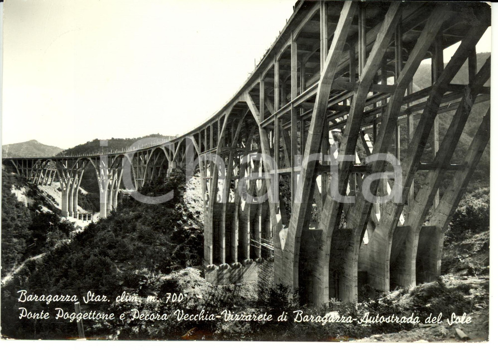 Cartolina originale da collezione 1966 VIZZARETE DI BARAGAZZA (BO) Ponte POGGETTONE, Pecora Vecchia*Postcard FG VG 1