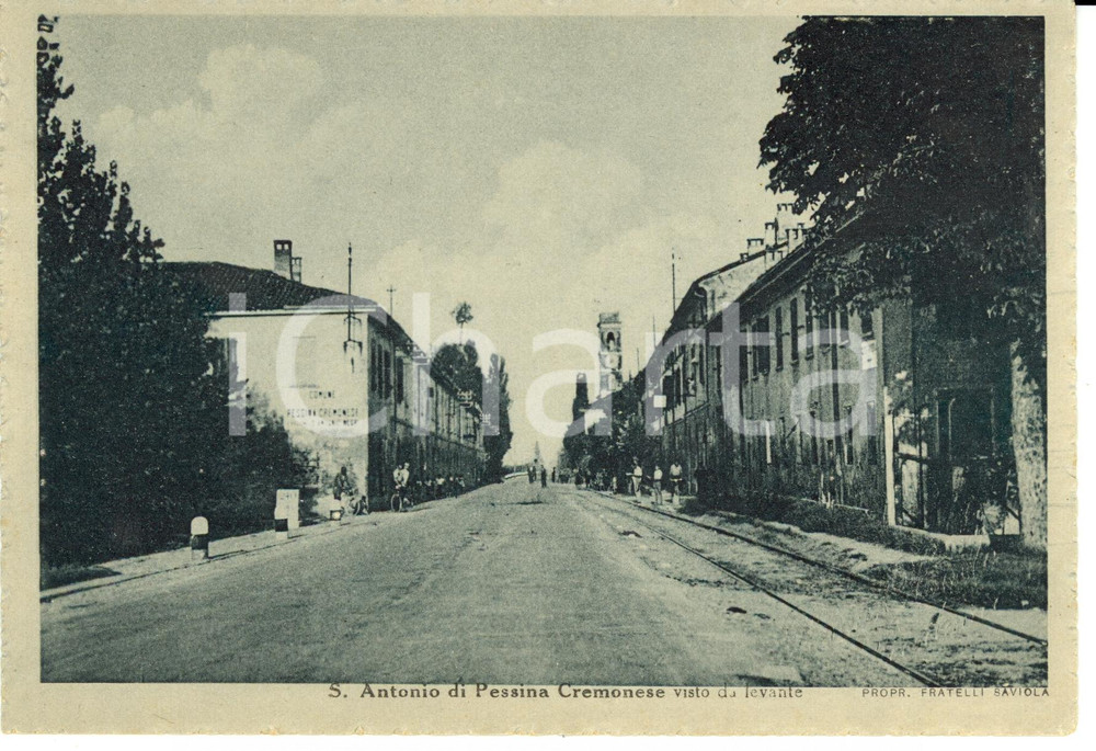 Cartolina originale da collezione 1950 ca S.ANTONIO DI PESSINA CREMONESE CR Visto da Levante Cartolina FG NV 1