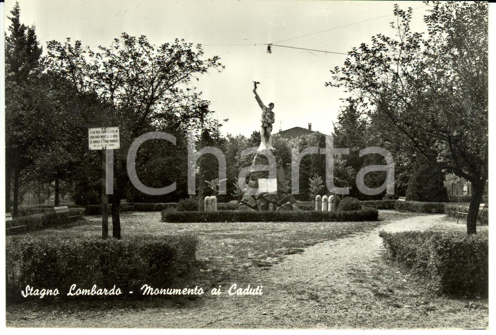 Cartolina originale da collezione 1950 ca STAGNO LOMBARDO CR Monumento ai caduti Cartolina postale FG NV 1
