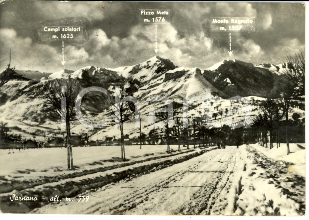 Cartolina originale da collezione 1956 SARNANO MC Panorama con monte RAGNOLO Cartolina postale FG VG 1