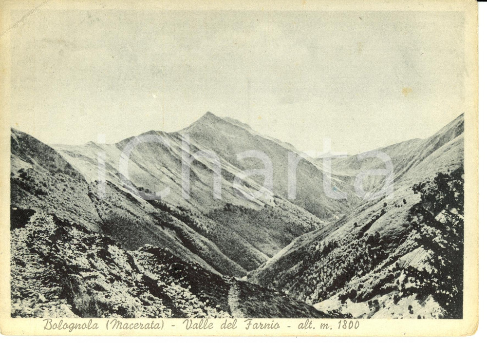 Cartolina originale da collezione 1950 ca BOLOGNOLA (MC) Valle del Farnio *Cartolina postale FG VG 1