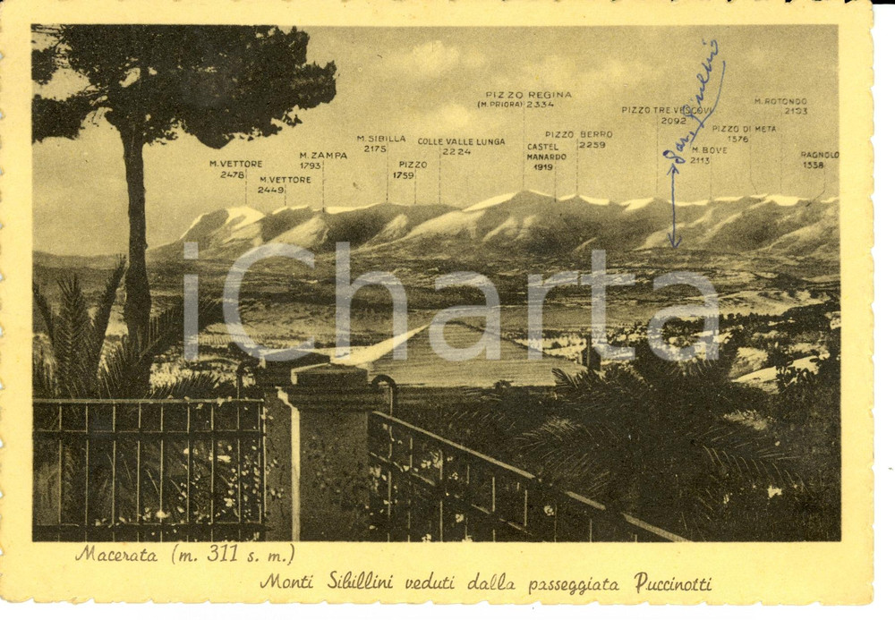 Cartolina originale da collezione 1950  MACERATA Monti Sibillini dalla passeggiata Puccinotti Cartolina FG VG 1