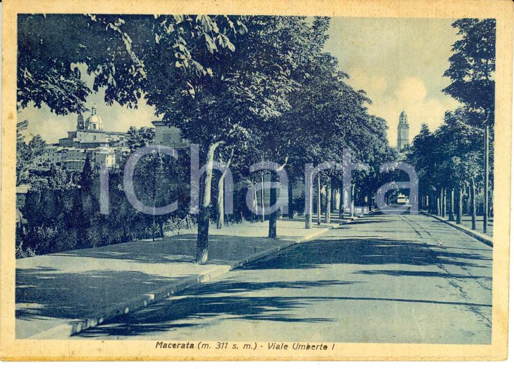 Cartolina originale da collezione 1943 MACERATA Viale Umberto I Cartolina postale FG VG 1