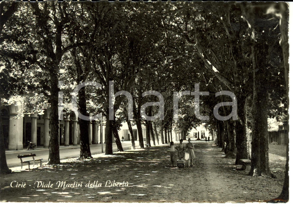 Cartolina originale da collezione 1955 ca CIRIE' (TO) Veduta del viale Martiri della libertÃ  *Cartolina FG NV 1
